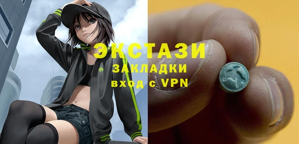 хмурый Аркадак