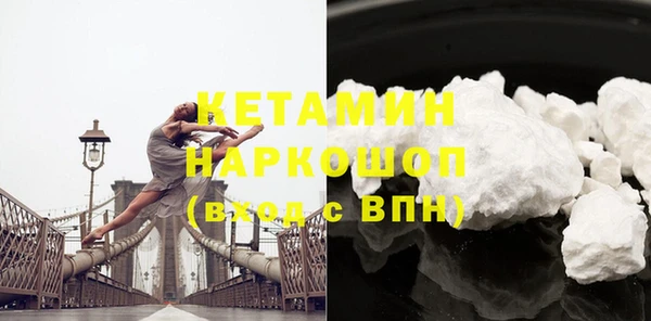 хмурый Аркадак