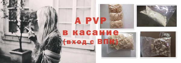 хмурый Аркадак