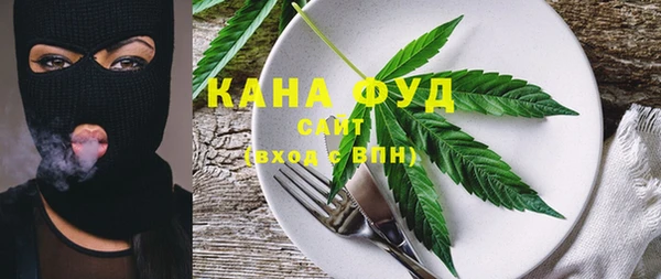 хмурый Аркадак