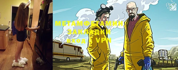 хмурый Аркадак