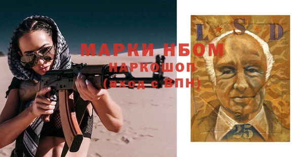 хмурый Аркадак