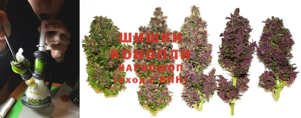 хмурый Аркадак