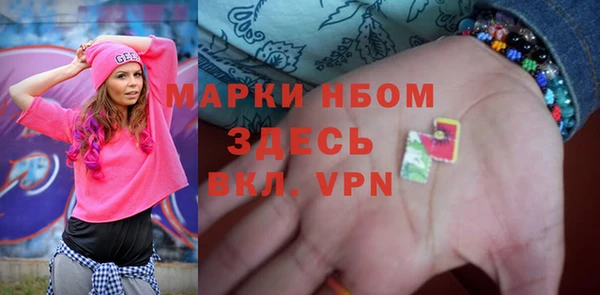 хмурый Аркадак