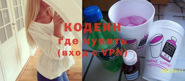 хмурый Аркадак